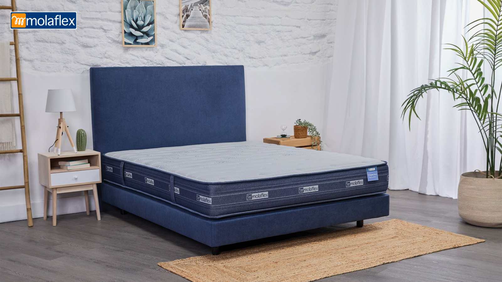 colchao_selecction_multielastico_molaflex (2)